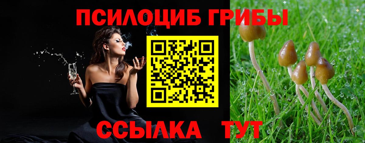 Псилоцибиновые грибы Psilocybe  где найти наркотики  Протвино  Вход с VPN 